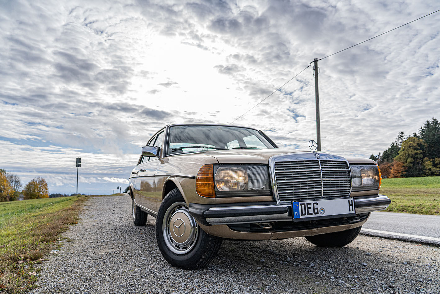 W-123-champagner-schr&auml;g-von-vorne